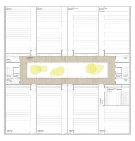 Vora